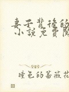 妻子背后的秘密 小说免费阅读