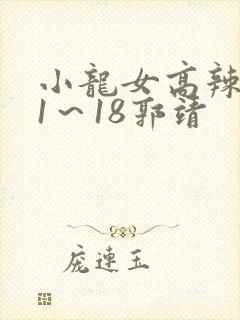 小龙女高辣h文1～18郭靖