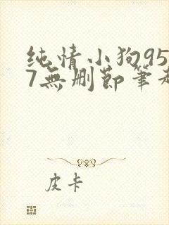 纯情小狗9527无删节笔趣阁