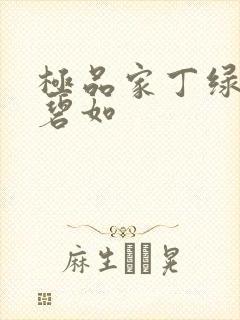 极品家丁绿帽安碧如封面