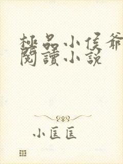 极品小侯爷全文阅读小说