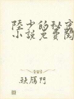陆少的秘密恋人小说免费阅读