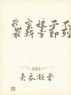 我家娘子不对劲最新章节列表最