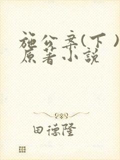 施公案(下 )原著小说封面