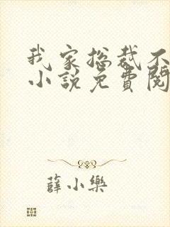 我家总裁不回家小说免费阅读