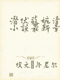 潜伏苏婉清沈墨小说最新章节更新内