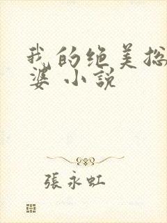 我的绝美总裁老婆 小说