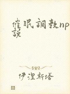 催眠调教np小说