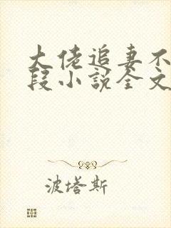 大佬追妻不择手段小说全文阅读