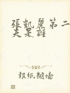 张凯丽第二任丈夫是谁封面