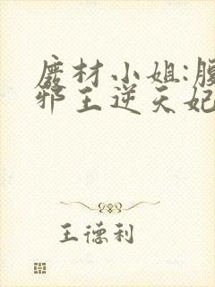 废材小姐:腹黑邪王逆天妃 叶轻轻封面