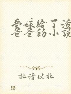 受嫁给了渣攻的爸爸的小说封面