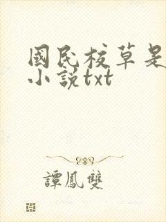 国民校草是女生小说txt