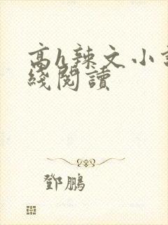 高h辣文小说在线阅读