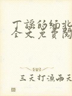 丁谣的缅北小说全文免费阅读