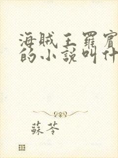 海贼王罗宾堕落的小说叫什么