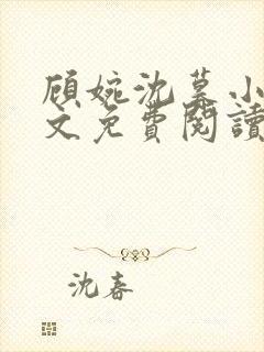 顾婉沈暮小说全文免费阅读无弹窗封面