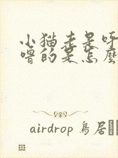 小猫老是呼噜呼噜的是怎么回事