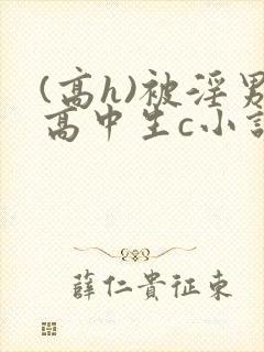 (高h)被淫男高中生c小说