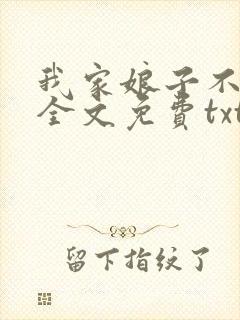 我家娘子不对劲全文免费txt下载