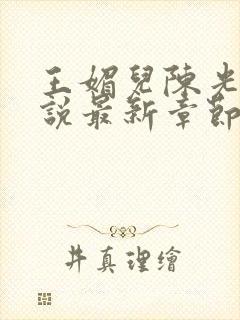 王媚儿陈光达小说最新章节更新时间封面