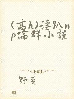 (高h)淫趴np伦群小说