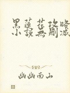 黑莲花攻略手册小说无删减版