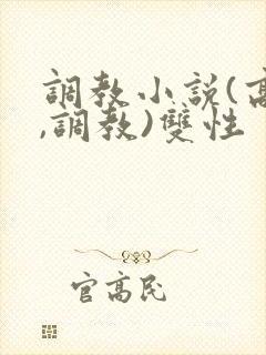 调教小说(高h,调教)双性