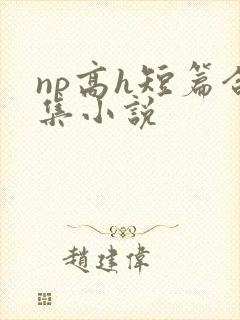 np高h短篇合集小说