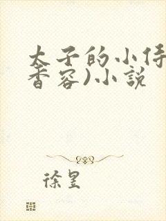 太子的小侍妾(香容)小说