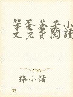 笨蛋英子小说全文免费阅读最新章节