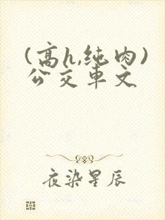 (高h,纯肉)公交车文