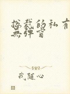 总裁的私有宝贝无弹窗