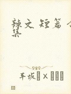 辣文 短篇 合集封面