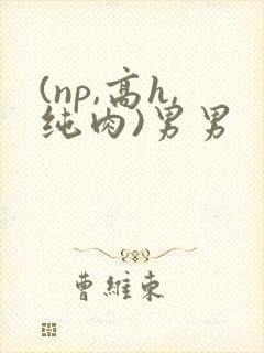 (np,高h,纯肉)男男封面