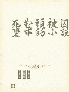 死对头被囚禁后变乖的小说双男