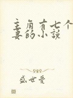 主角有七个未婚妻的小说