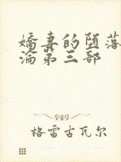 娇妻的堕落 沉沦第三部封面