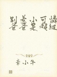 别惹小可怜,她爸爸是超级女儿奴小说