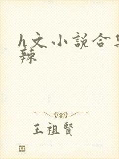 h文小说合集高辣