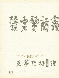 陆西骁江念知小说免费阅读最新章节