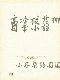 高冷校花柳冰的日常小说