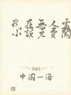 我在无人处爱你小说免费阅读封面