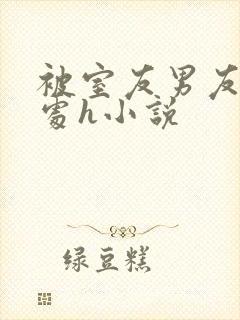 被室友男友破了处h小说