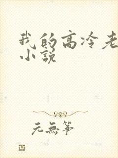 我的高冷老婆 小说