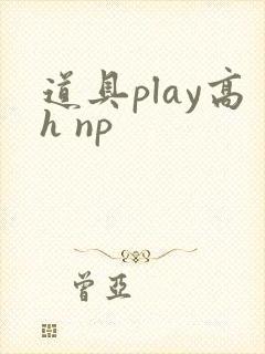 道具play高h np