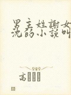 男主姓谢女主姓沈的小说叫什么名