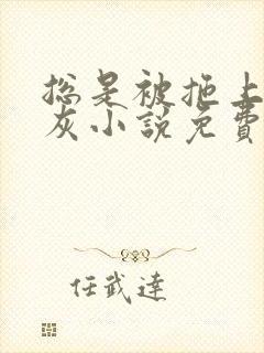 总是被拖上的炮灰小说免费阅读