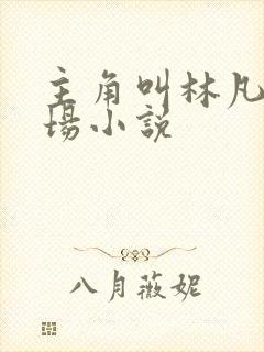 主角叫林凡的官场小说