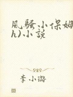 风骚小保姆(高h)小说